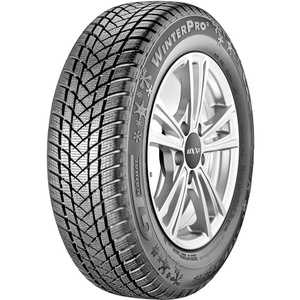 GT Radial WinterPro2